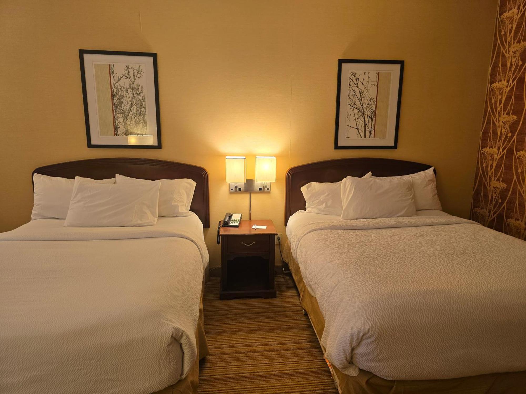 Country & By Radisson, Convention Center